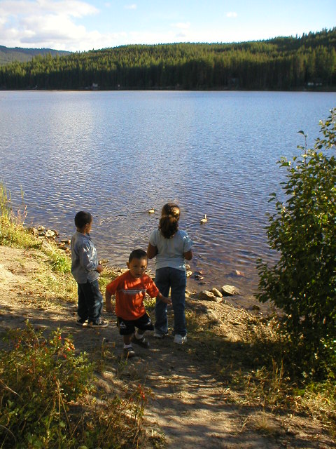 grandkids playing by the lakeside, feeding ducks a